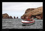 Ballestas Islands 007